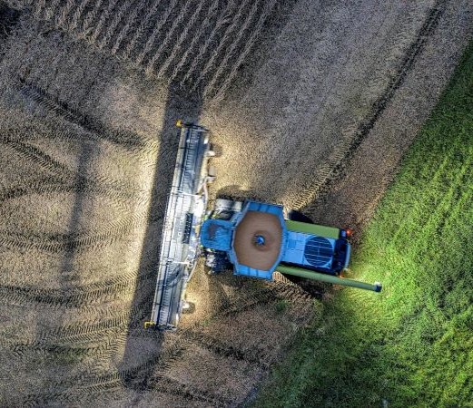01 Agribusiness